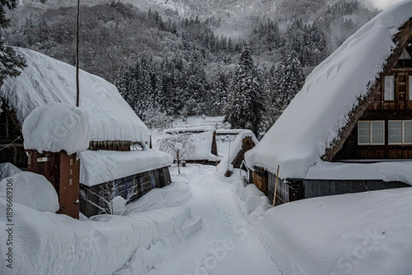 Obraz 越中五箇山相倉合掌造り集落の雪景色