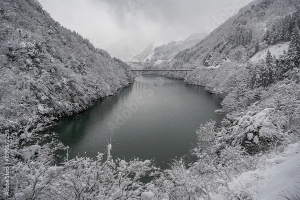 Obraz 庄川峡の雪景色