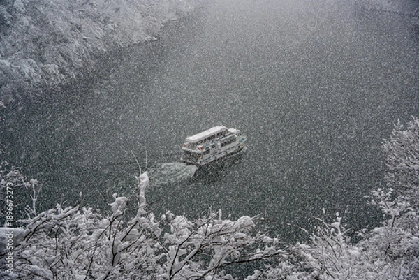 Obraz 庄川峡の雪景色