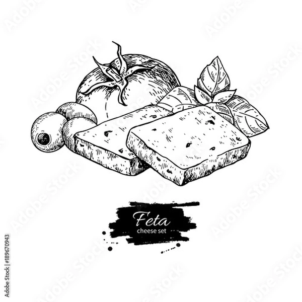 Fototapeta Rysunek plasterka greckiego sera feta. Wektor ręcznie rysowane sk żywności