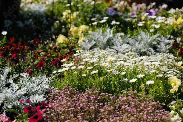 Obraz 沖縄で見つけた南国の豊かな自然と文化を感じる風景