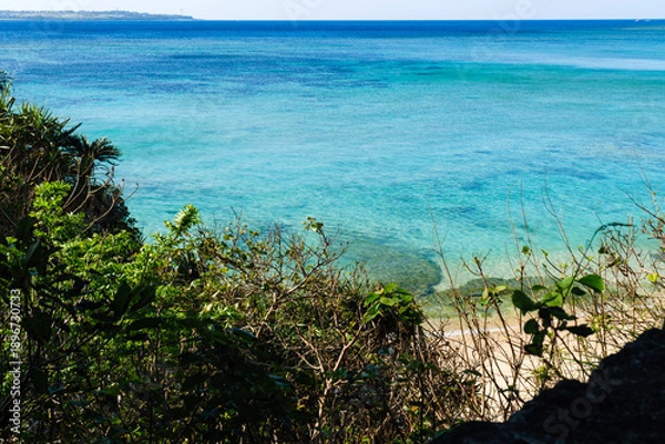 Obraz 沖縄で見つけた南国の豊かな自然と文化を感じる風景