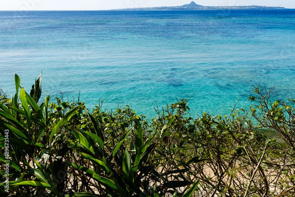 Obraz 沖縄で見つけた南国の豊かな自然と文化を感じる風景