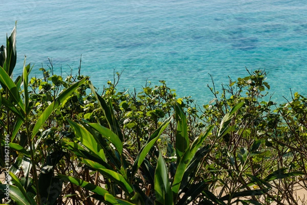 Obraz 沖縄で見つけた南国の豊かな自然と文化を感じる風景