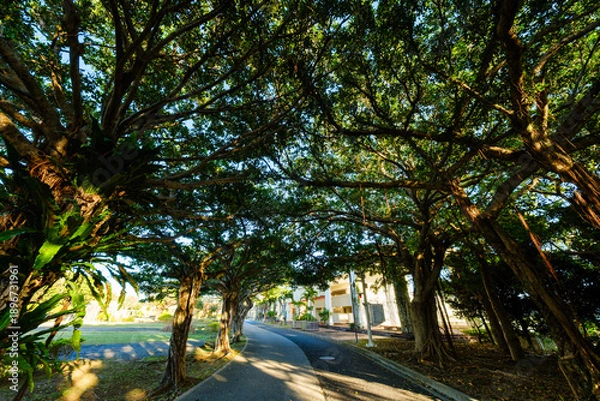 Obraz 沖縄で見つけた南国の豊かな自然と文化を感じる風景