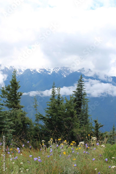 Obraz Trees with mountain landscape