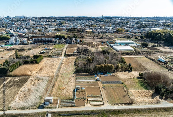 Obraz 神奈川県中部の風景