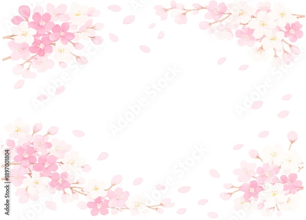 Obraz 満開の春の桜の花のフレーム　合格発表のイラスト素材
