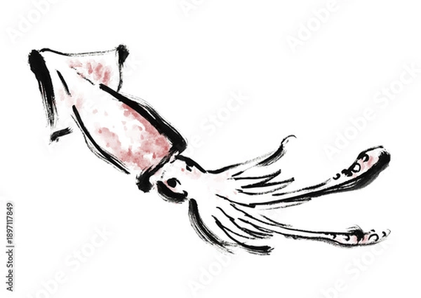 Obraz 烏賊の和風筆イラスト素材