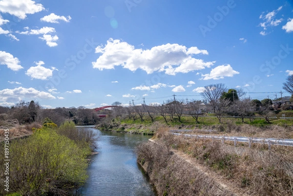 Fototapeta 川辺の風景