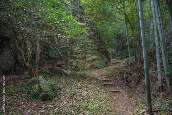 Obraz 島根出雲 立石神社 聖地の森