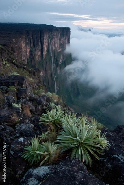 Obraz Mount roraima tepui with waterfall and dramatic clouds