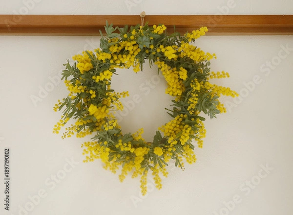 Obraz 白い壁にかかったミモザのリース