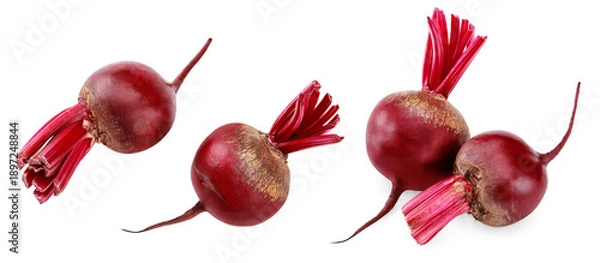 Obraz beetroot isolated on white background. clipping path