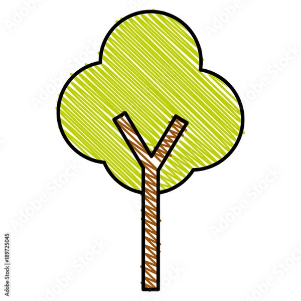 Obraz tree plant isolated icon