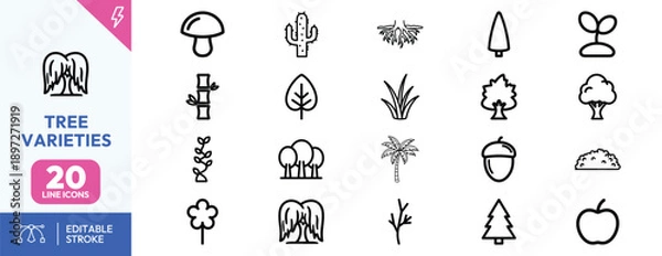 Fototapeta Tree Varieties Icons Set Illustration.