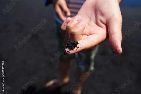 Obraz ハワイ島　ブラックサンドビーチの砂