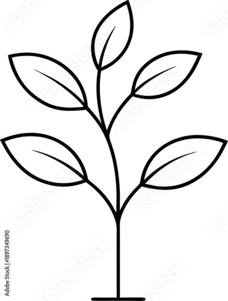 Obraz sapling outline vector  on white background 