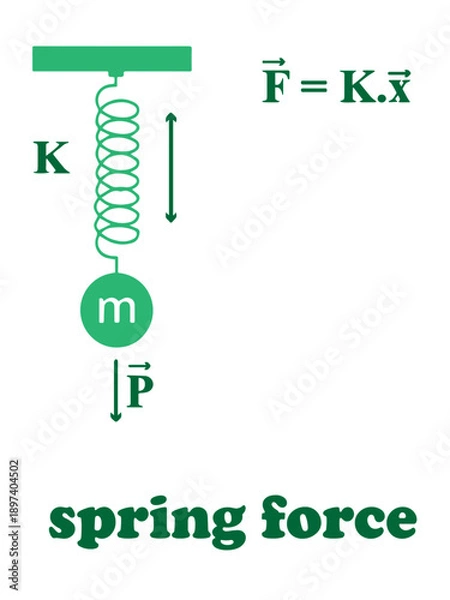 Fototapeta Spring Force Physics Diagram