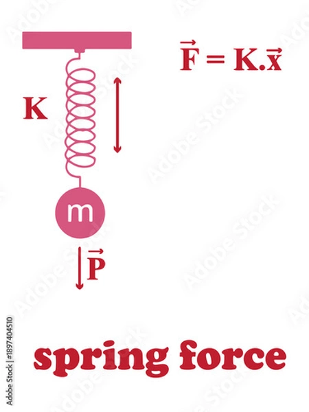 Fototapeta Hooke's Law Spring Force