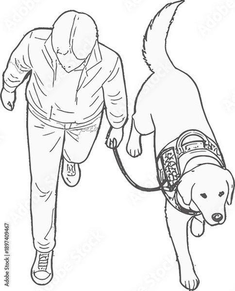 Obraz Man Walking Dog