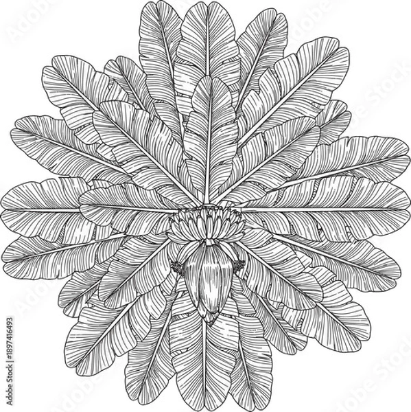 Obraz Botanical Mandala