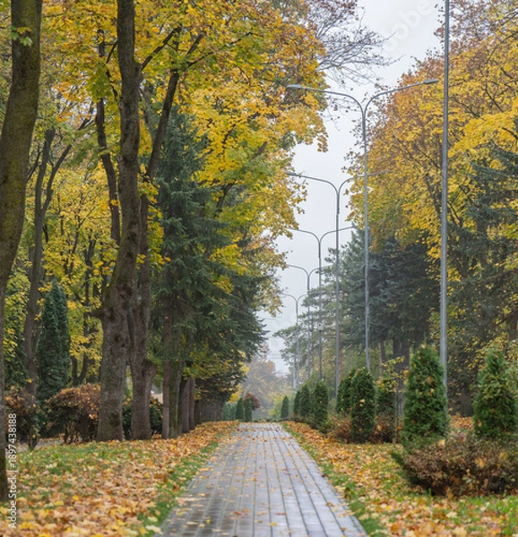 Obraz path in autumn park