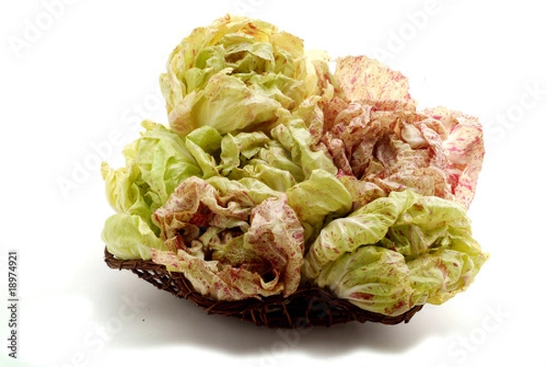 Obraz radicchio variegato