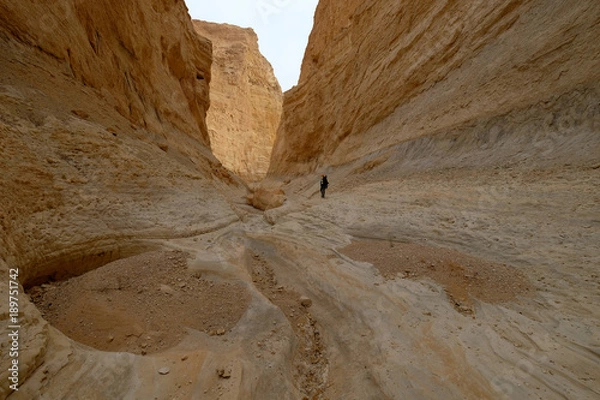 Obraz Alone hiker traveling in deep dry gorge in Judea desert.