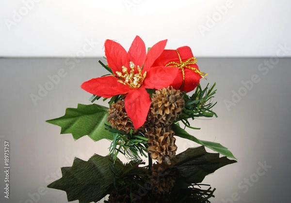 Obraz Red Flower Decor Reflection