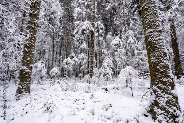 Fototapeta Schömberg
