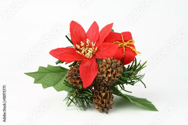 Obraz Red Flower Decor