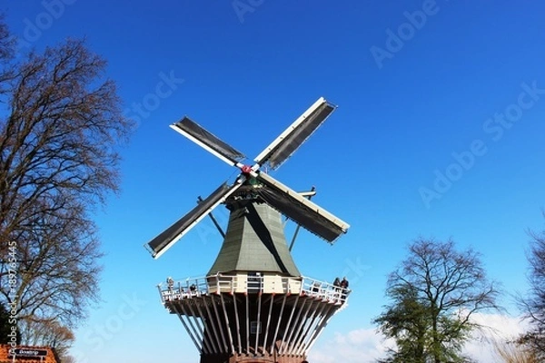 Fototapeta two traditional Dutch windmills with tulips rows at spring day, Netherlands