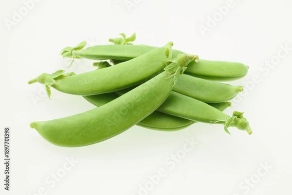 Obraz 　スナップエンドウ　白バック