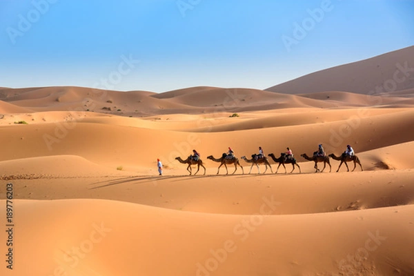 Obraz Karawana na pustynii Sahara, Wydmy Erg Chebbi.