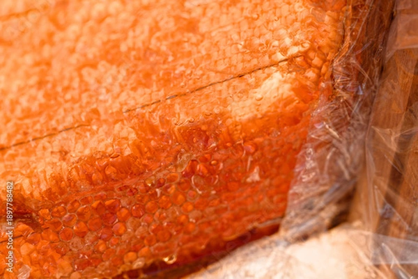 Fototapeta ミツバチの巣