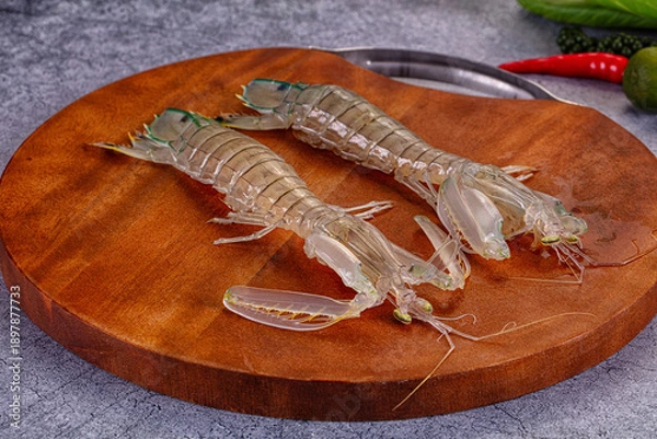 Obraz Raw mantis shrimps for cooking