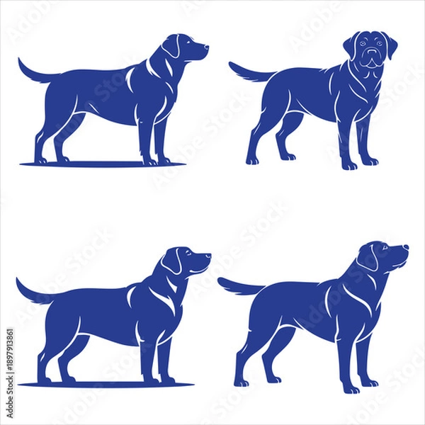 Obraz Labrador Back View