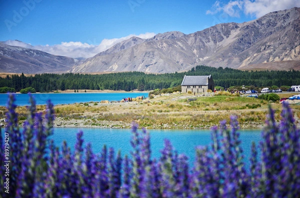 Fototapeta View of Church of the Good Shepherd and Lake Tekapo in New Zealand. Purple lupin flower in the foreground.