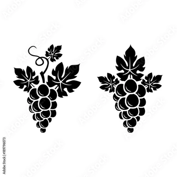 Obraz Two grapes branches