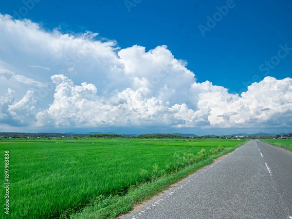 Obraz 田舎の夏と入道雲