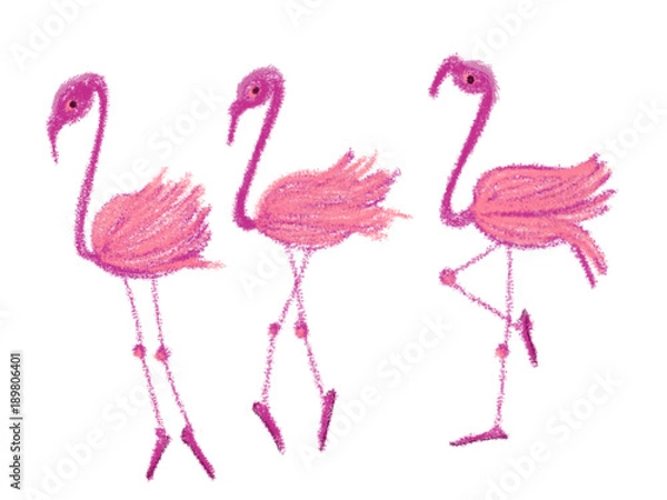 Fototapeta Colorful drawn bright flamingos for greeting card or advertisement on white background, isolated cartoon illustration painted by pencil chalk on white background, high quality