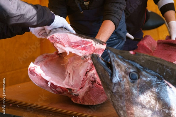 Fototapeta 二十日えびすのマグロ解体ショー