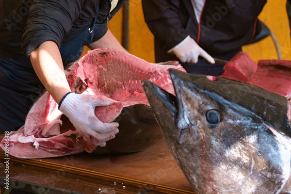 Fototapeta 二十日えびすのマグロ解体ショー