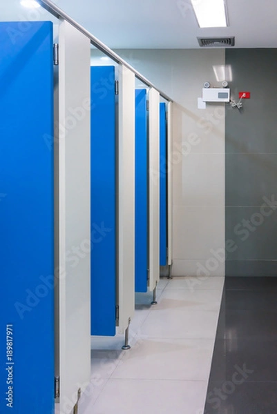 Obraz Clean public toilet room empty with blue door.