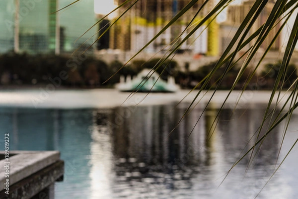 Obraz Orlando Lake Eola