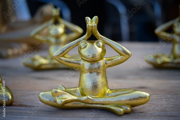 Obraz golden frog yoga