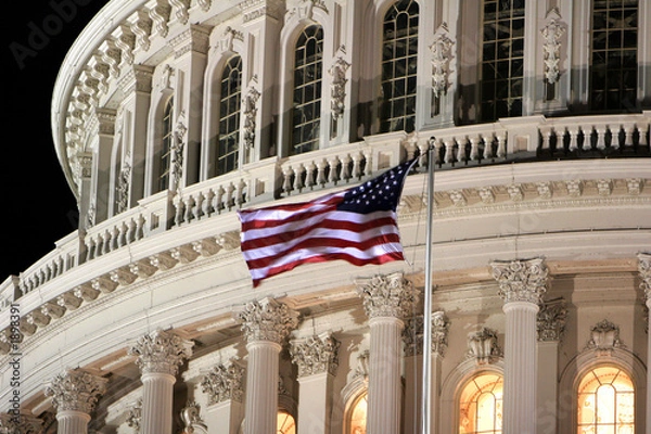 Obraz flag at capitol