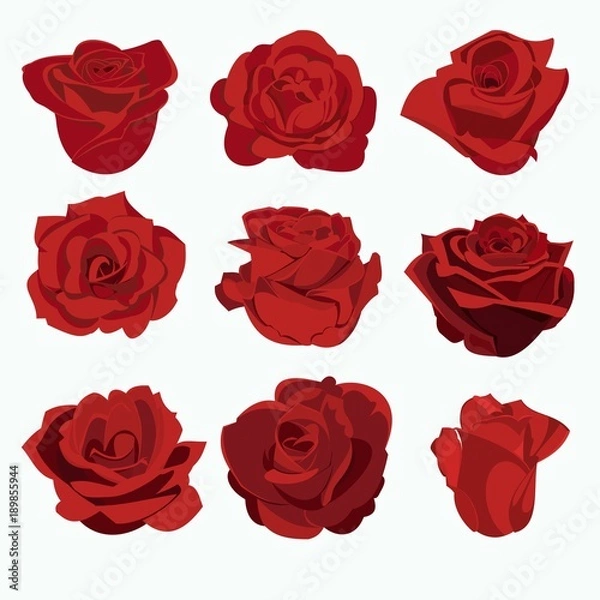 Obraz zestaw czerwonych róż