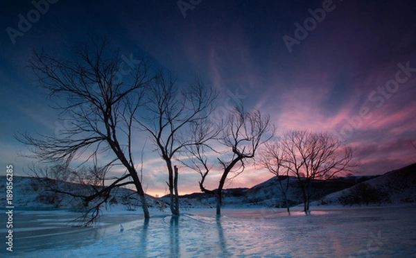 Fototapeta The image of Bashang in Hebei, China